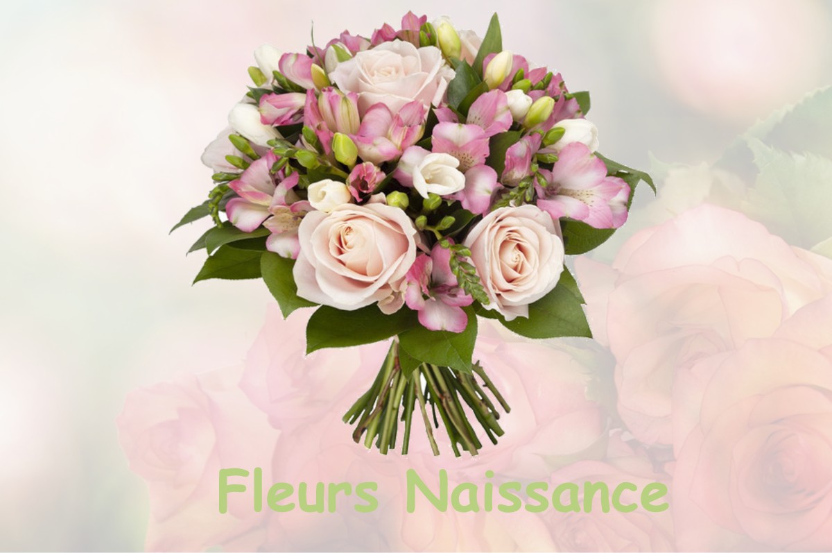 fleurs naissance MAUCOURT-SUR-ORNE