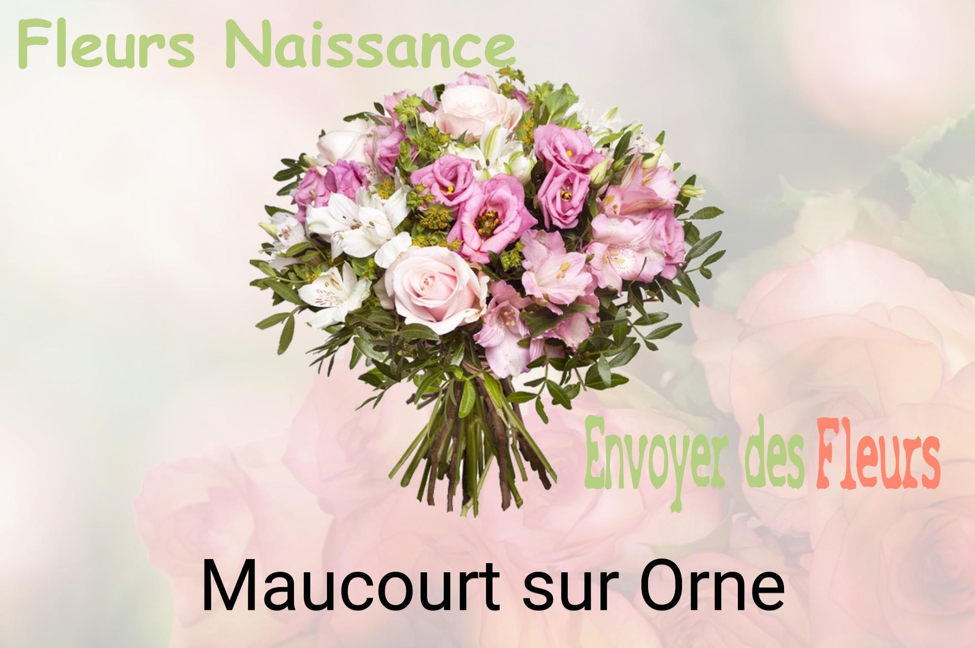 Bouquet de fleurs de naissance livré à Maucourt-sur-Orne